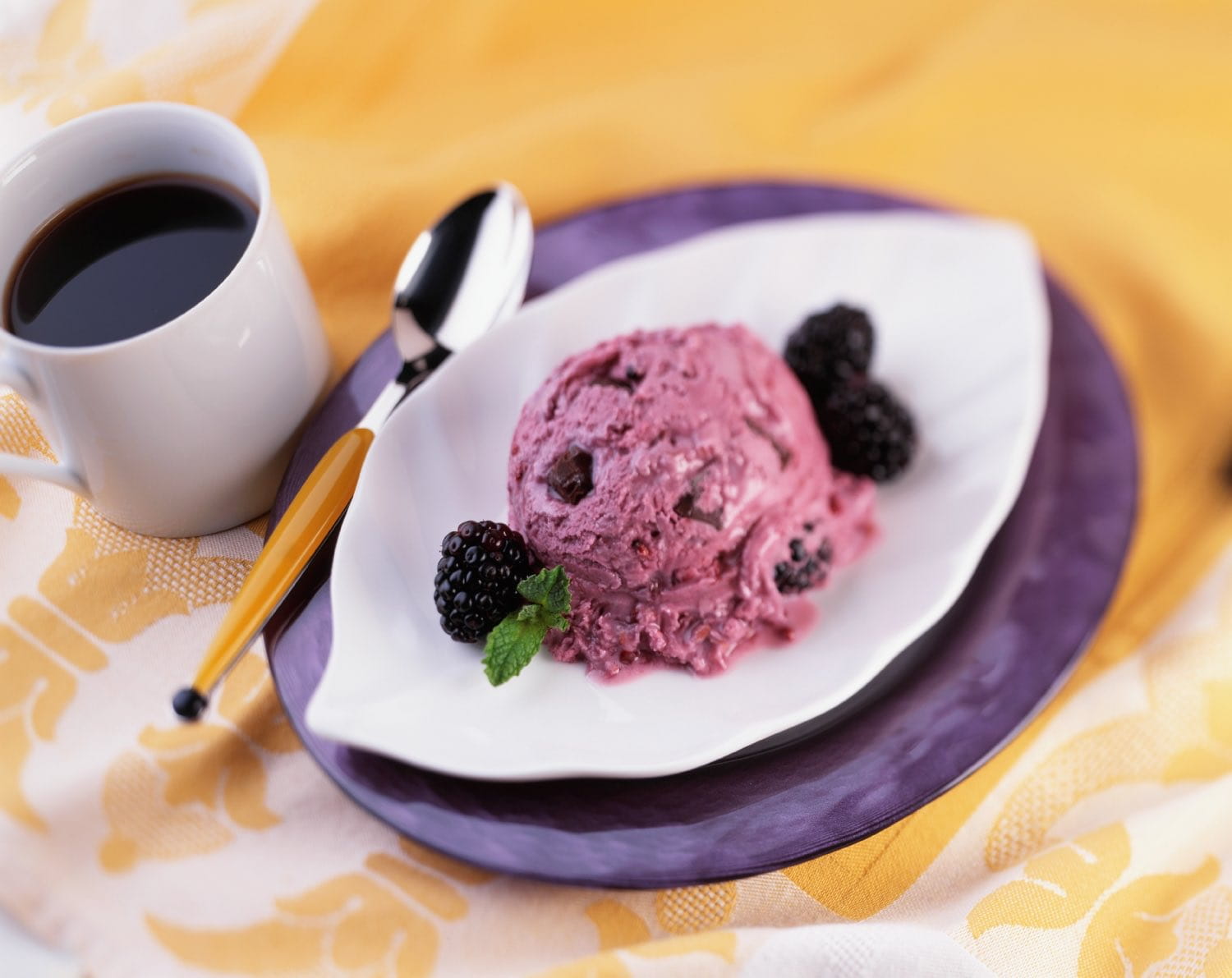 Blackberry-Chocolate Frozen Yogurt