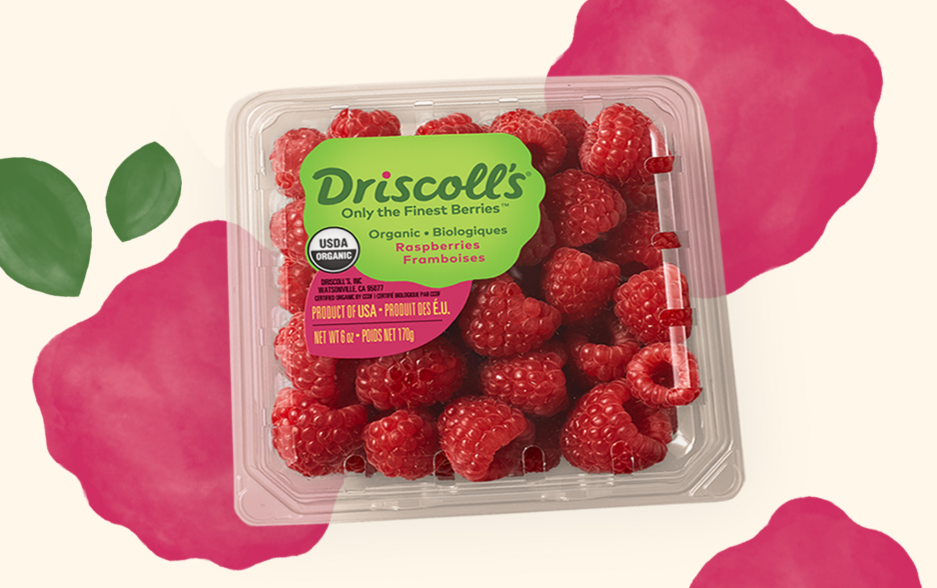 Organic Raspberries 101 A Visit with Driscoll’s Supply Director