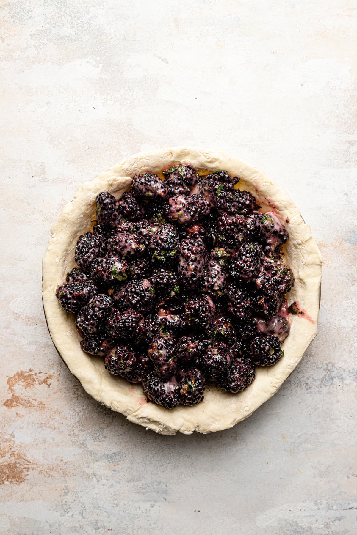 Blackberry Pie with Fresh Driscoll's Berries and mint